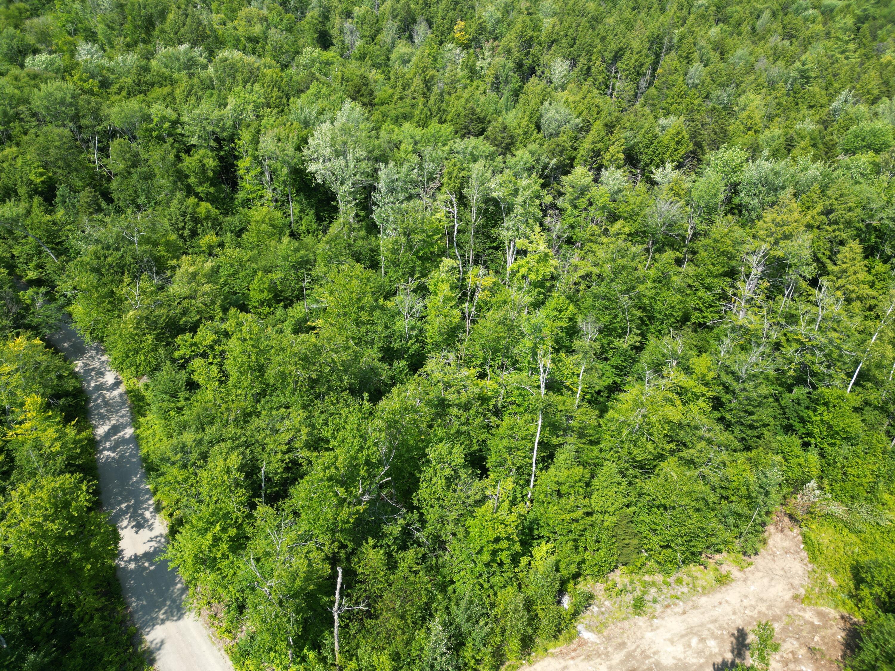 Lot 18-2 Madagascal Pond Road Burlington, ME 04417 - Photo 11 of 12 dji_fly_20260709_172614_954_178481322600