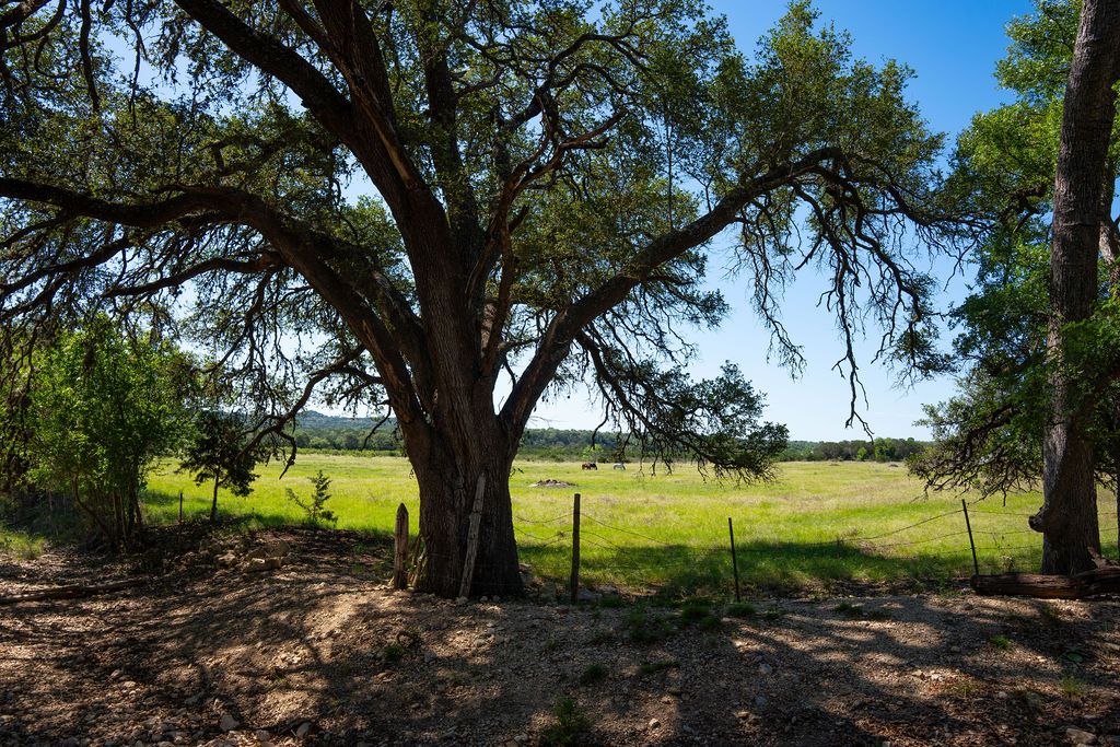 1294 Crabapple Road Blanco, TX 78606 - Photo 21 of 32