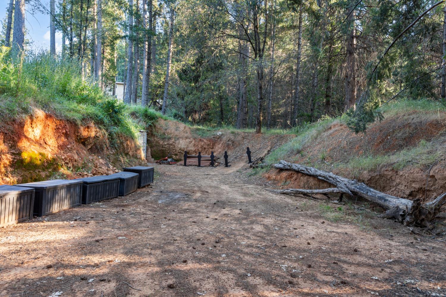 3875 Deer Canyon Road Placerville, CA 95667 - Photo 31 of 41