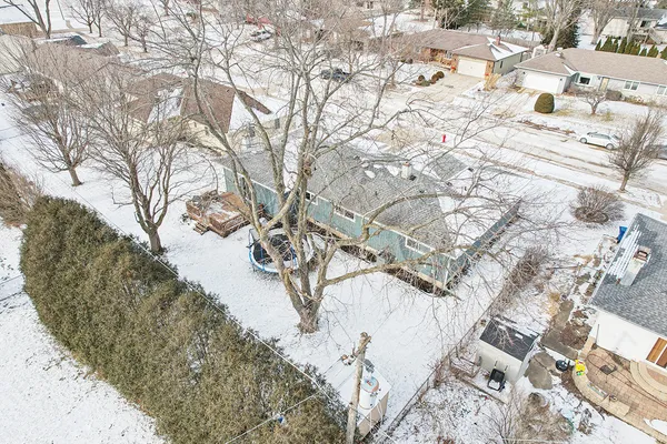 a view of yard with trees