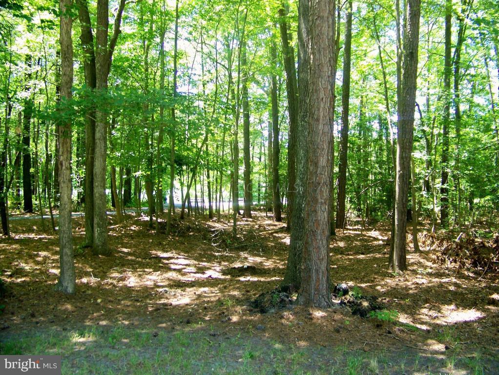 8 Pinehurst Road Ocean Pines, MD 21811 - Photo 22 of 25 a view of yard
