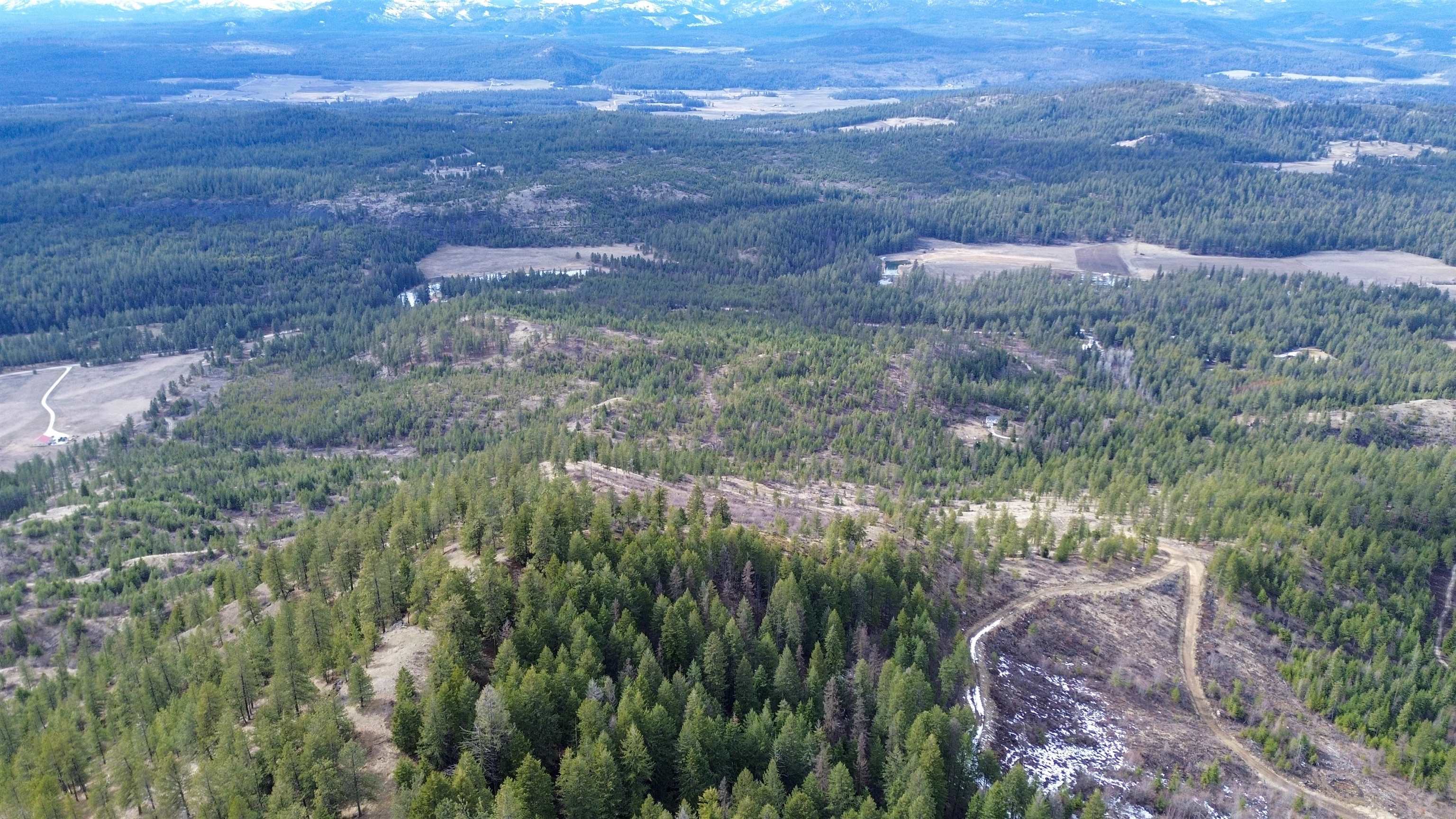 352 X Green Road Valley, WA 99181 - Photo 29 of 32