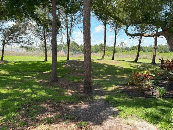 a view of a yard with a tree