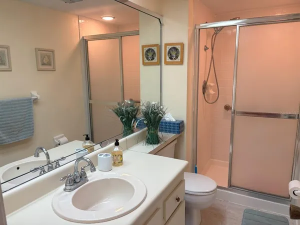 a bathroom with a sink a mirror a toilet and shower