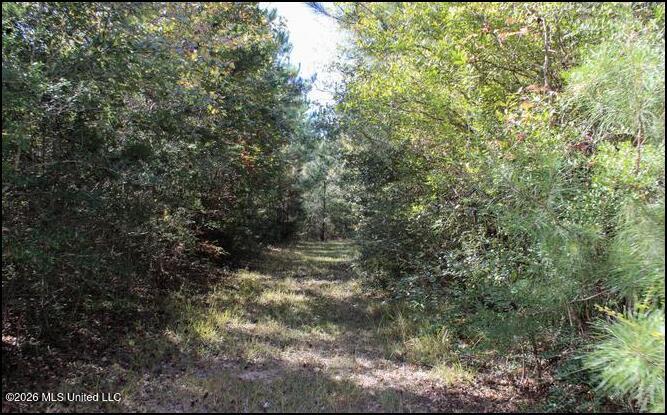 4056 Gibson Road McComb, MS 39648 - Photo 12 of 21 Screenshot 2026-05-26 134045