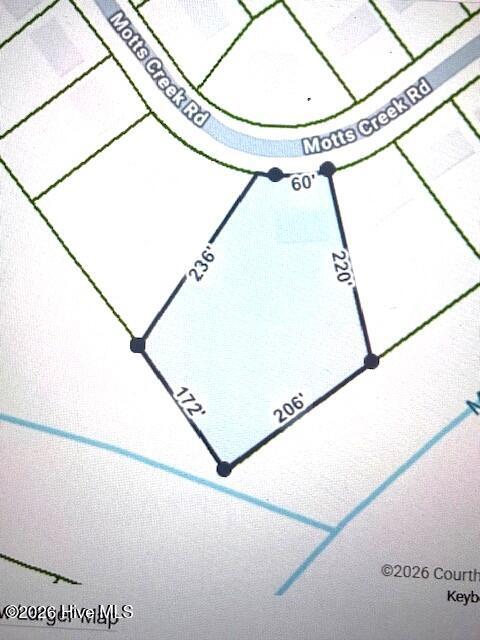 439 Motts Creek Road Wilmington, NC 28412 - Photo 3 of 58 Lot