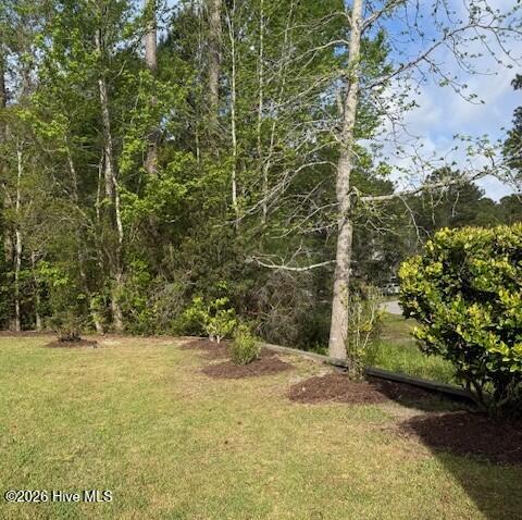 439 Motts Creek Road Wilmington, NC 28412 - Photo 8 of 58 IMG_7051