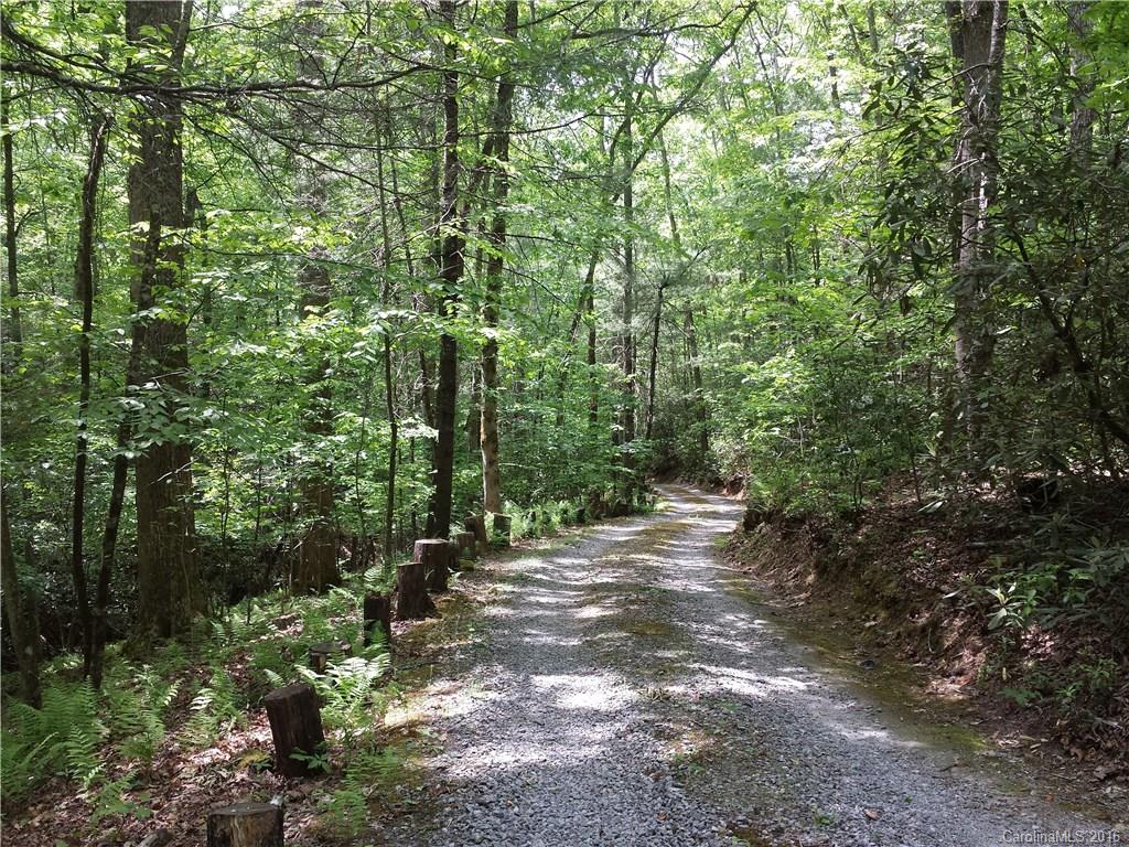 544 Tiptop Road Brevard, NC 28712 - Photo 5 of 24 Gallery Image 5