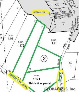 461 Spruce Lake Road Summit, NY 12175 - Photo 24 of 25 Photo 24