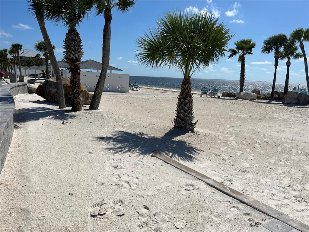 4854 Marine Parkway, Unit 103 New Port Richey, FL 34652 - Photo 8 of 21 a view of a backyard of a house