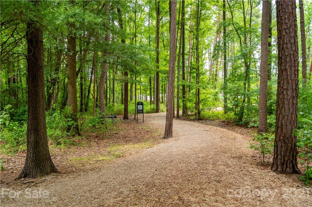652 Old Meeting Way Davidson, NC 28036 - Photo 32 of 32 a view of a forest with trees in the background