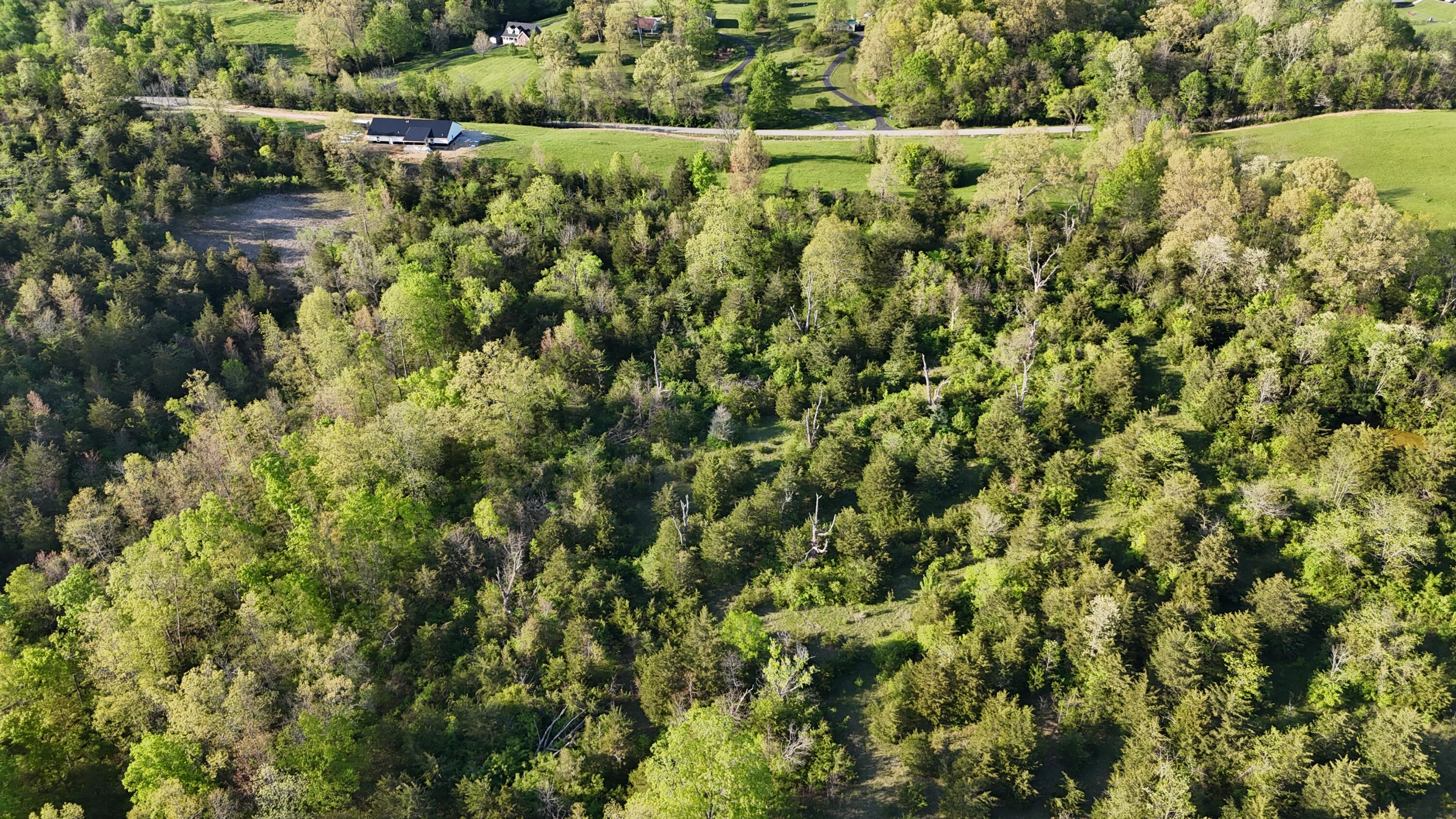 7 A Pumphouse Road Lawrenceburg, KY 40342 - Photo 12 of 17 .