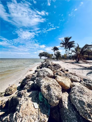 a picture of lake view with lots of trees