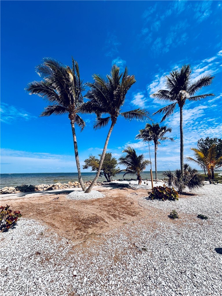 8315 Main Street Bokeelia, FL 33922 - Photo 3 of 50 a view of a palm tree with an ocean view