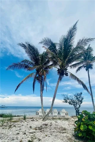 a flower plants in front of a house