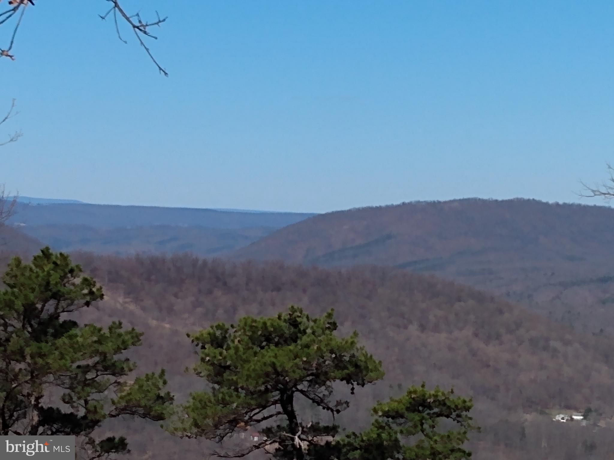 a view of a lush green field
