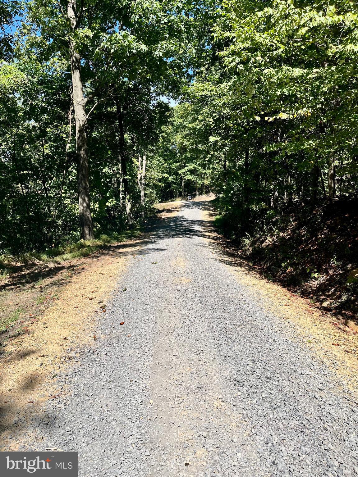 5 Kessel Road Great Cacapon, WV 25422 - Photo 21 of 22 a view of dirt yard with a trees