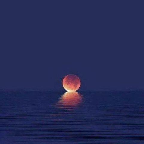 17 Shells Way Sagamore Beach, MA 02562 - Photo 13 of 19 a lamp on a small space