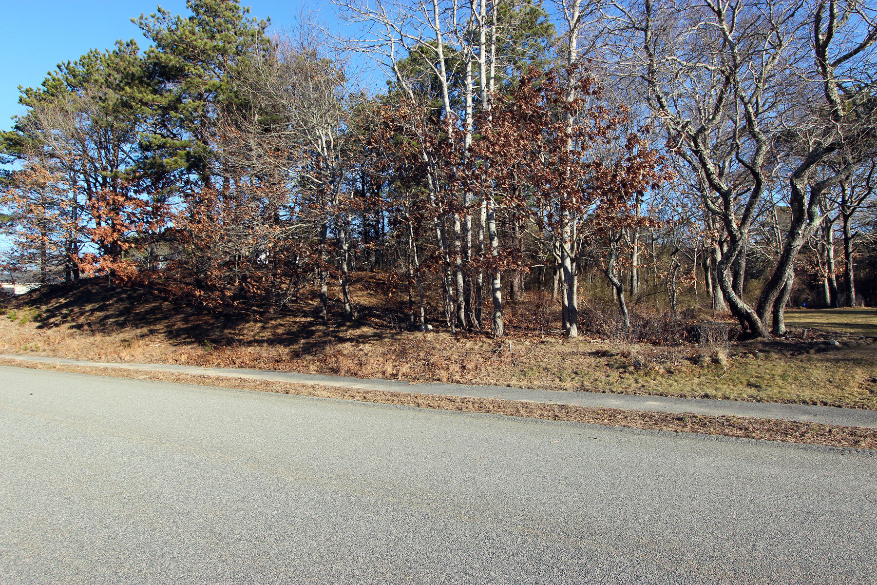 17 Shells Way Sagamore Beach, MA 02562 - Photo 2 of 19 a view of a yard with a tree