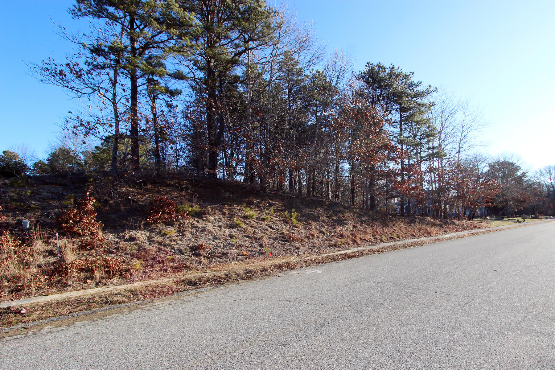 17 Shells Way Sagamore Beach, MA 02562 - Photo 3 of 19 a view of a backyard of a house