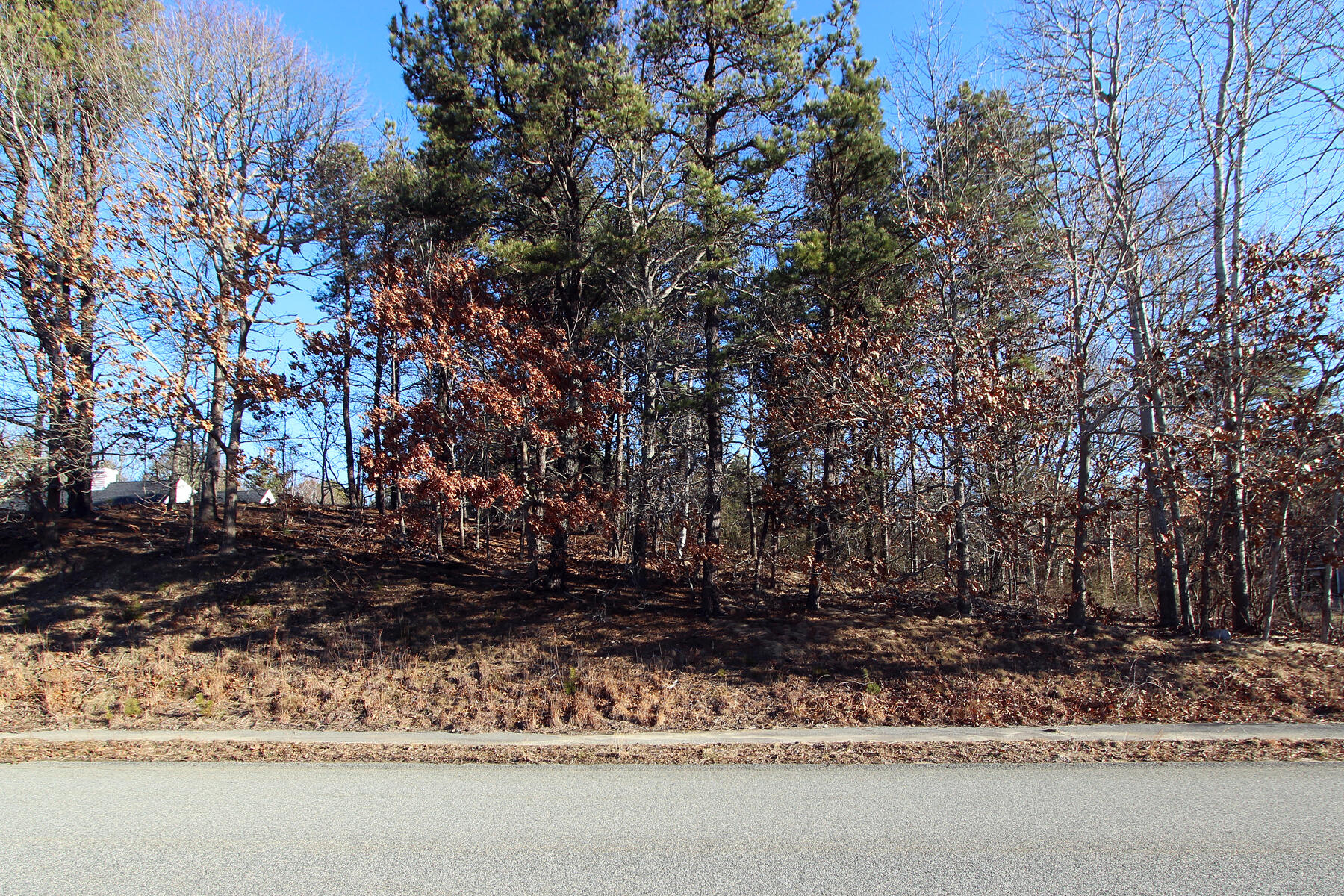 17 Shells Way Sagamore Beach, MA 02562 - Photo 4 of 19 a view of a backyard
