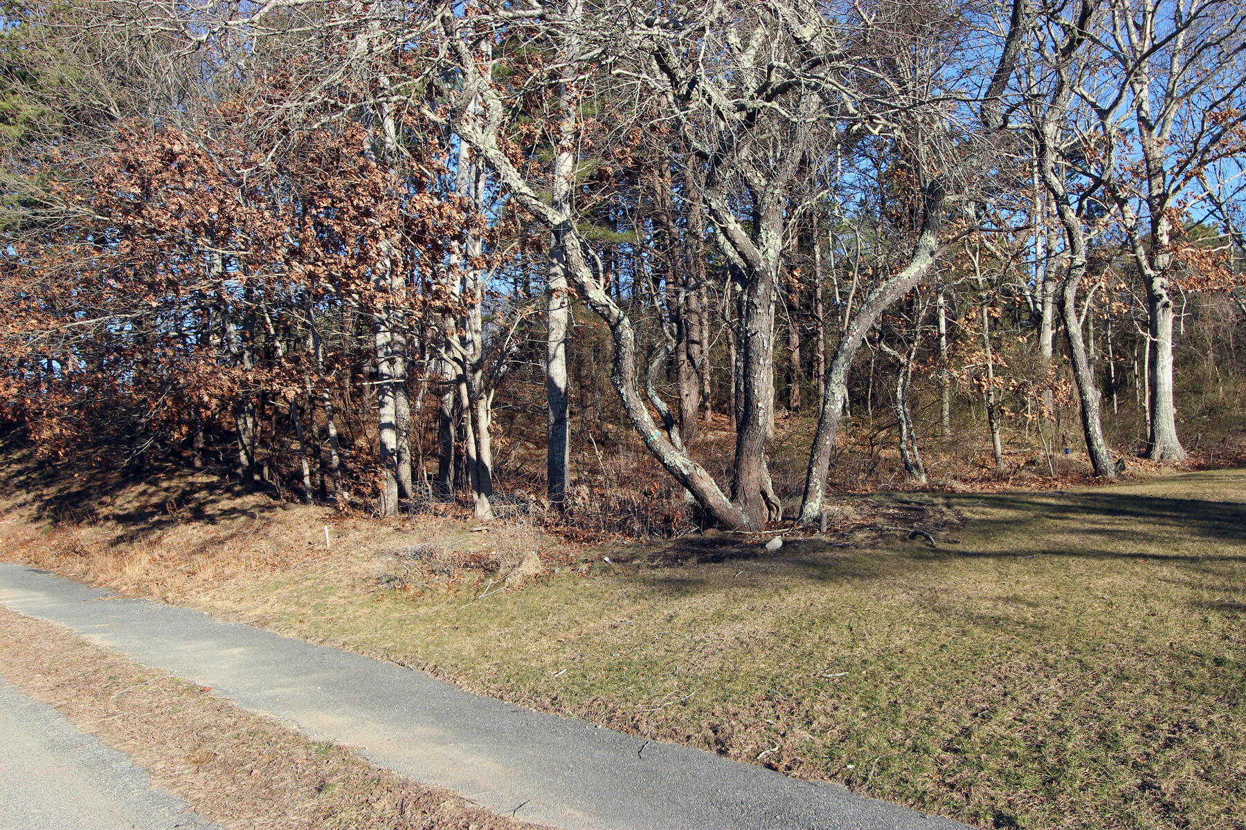 17 Shells Way Sagamore Beach, MA 02562 - Photo 5 of 19 a view of a yard with wooden fence