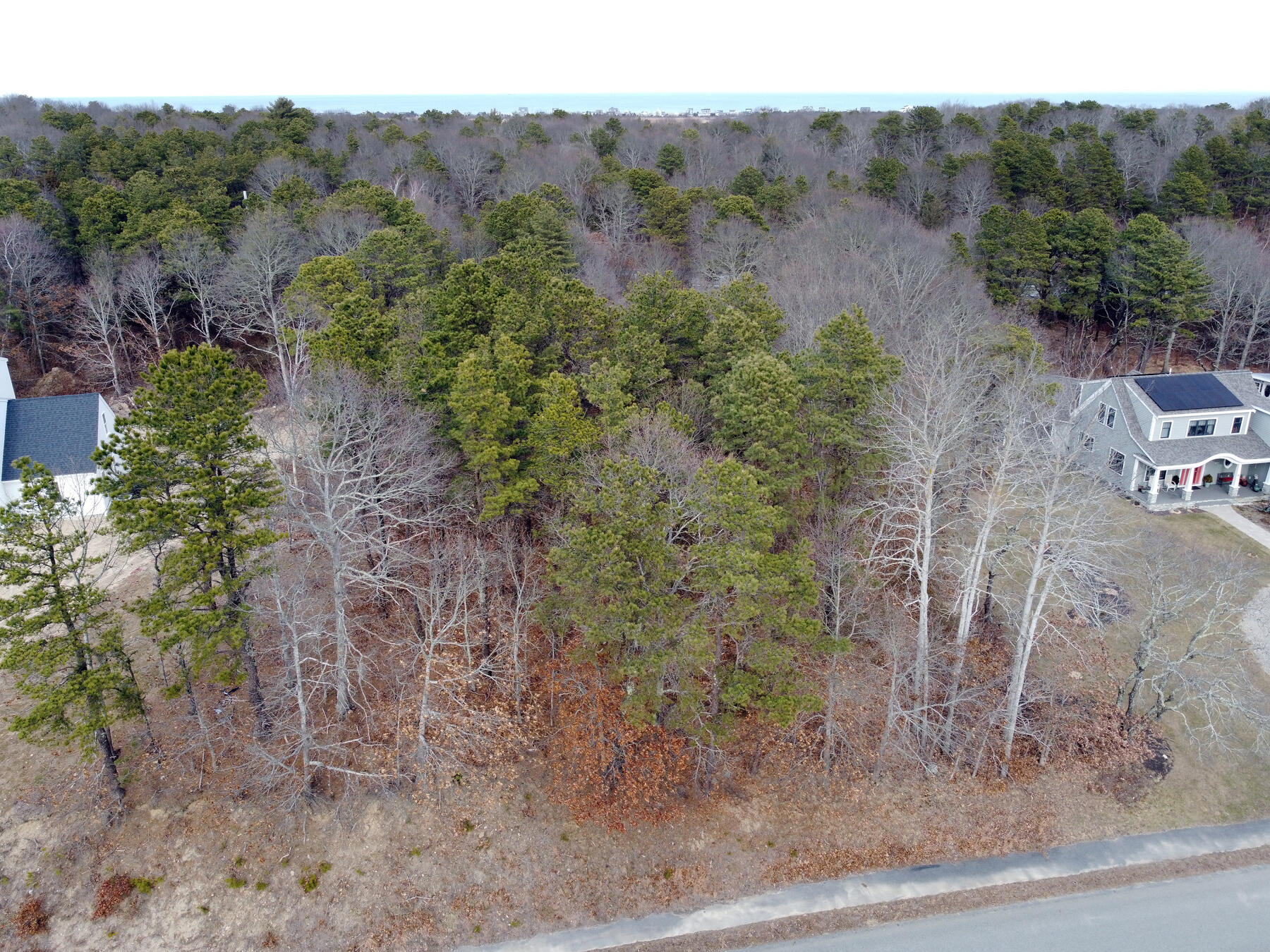 17 Shells Way Sagamore Beach, MA 02562 - Photo 7 of 19 a view of a dry field with trees in the background