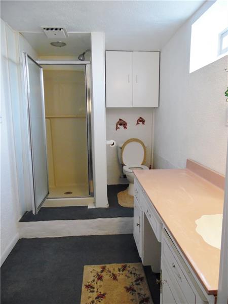 117 Doyle Road Sarver, PA 16055 - Photo 22 of 25 Basement shower bath with large vanity.