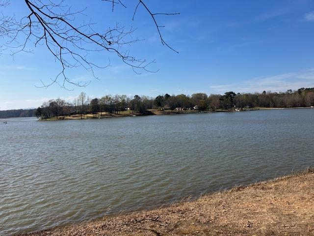 119 Dickson Cove Road Campobello, SC 29322 - Photo 12 of 20 Gallery Image 12