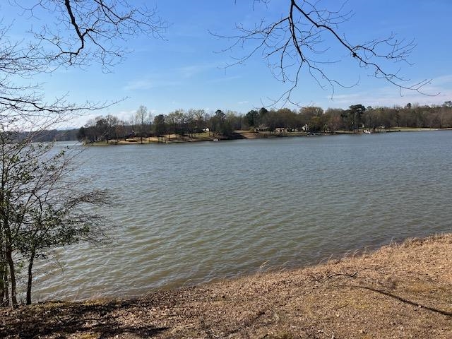 119 Dickson Cove Road Campobello, SC 29322 - Photo 13 of 20 Gallery Image 13
