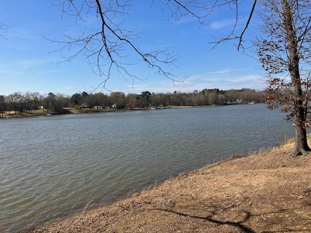 119 Dickson Cove Road Campobello, SC 29322 - Photo 14 of 20 Gallery Image 14