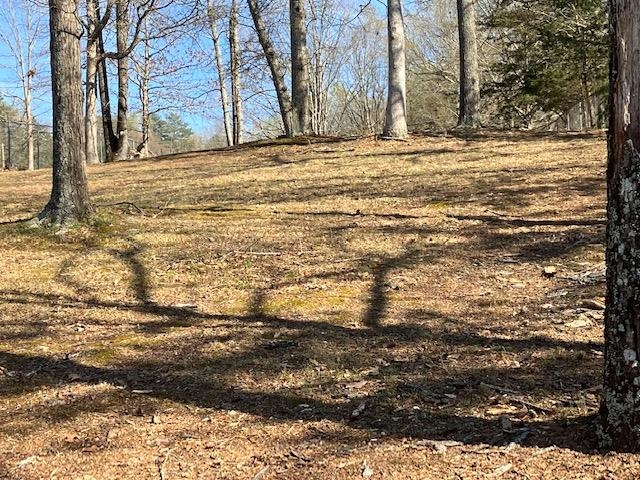 119 Dickson Cove Road Campobello, SC 29322 - Photo 18 of 20 Gallery Image 18