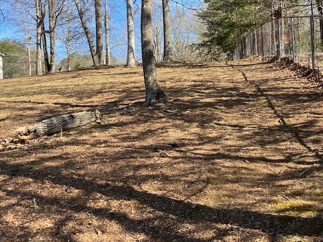 119 Dickson Cove Road Campobello, SC 29322 - Photo 19 of 20 Gallery Image 19
