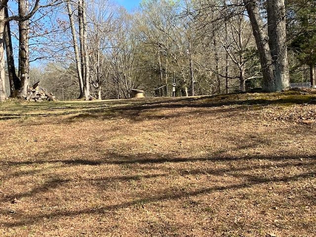 119 Dickson Cove Road Campobello, SC 29322 - Photo 20 of 20 Gallery Image 20