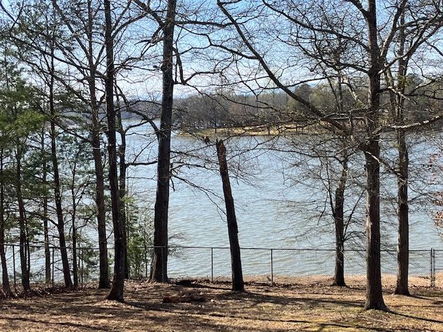 119 Dickson Cove Road Campobello, SC 29322 - Photo 8 of 20 Gallery Image 8