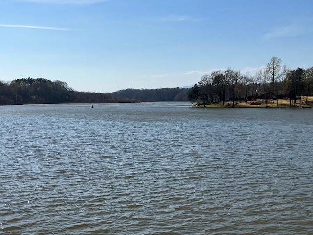 119 Dickson Cove Road Campobello, SC 29322 - Photo 9 of 20 Gallery Image 9