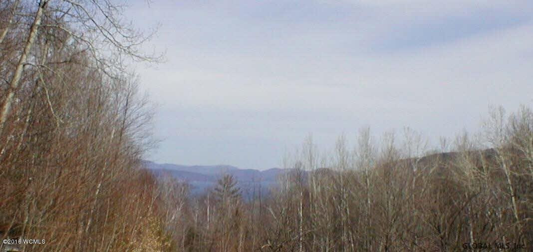 L20.2 Goldey Road Huletts Landing, NY 12841 - Photo 1 of 7 Photo 1