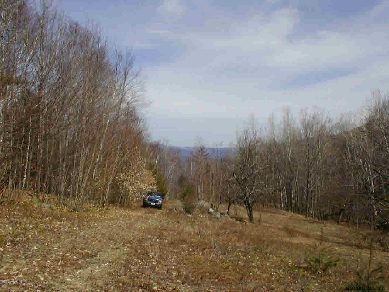 L20.2 Goldey Road Huletts Landing, NY 12841 - Photo 2 of 7 Photo 2