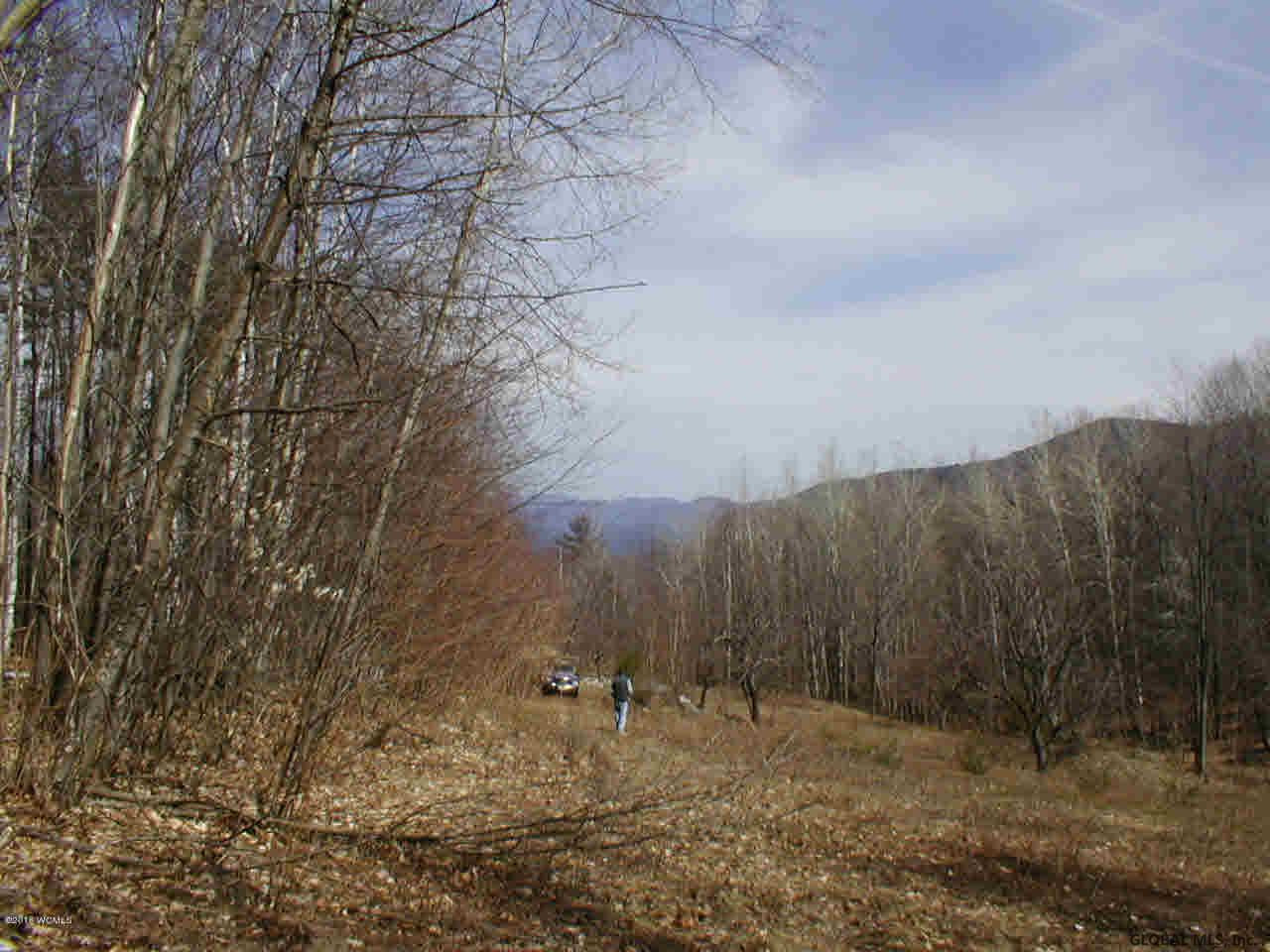 L20.2 Goldey Road Huletts Landing, NY 12841 - Photo 3 of 7 Photo 3