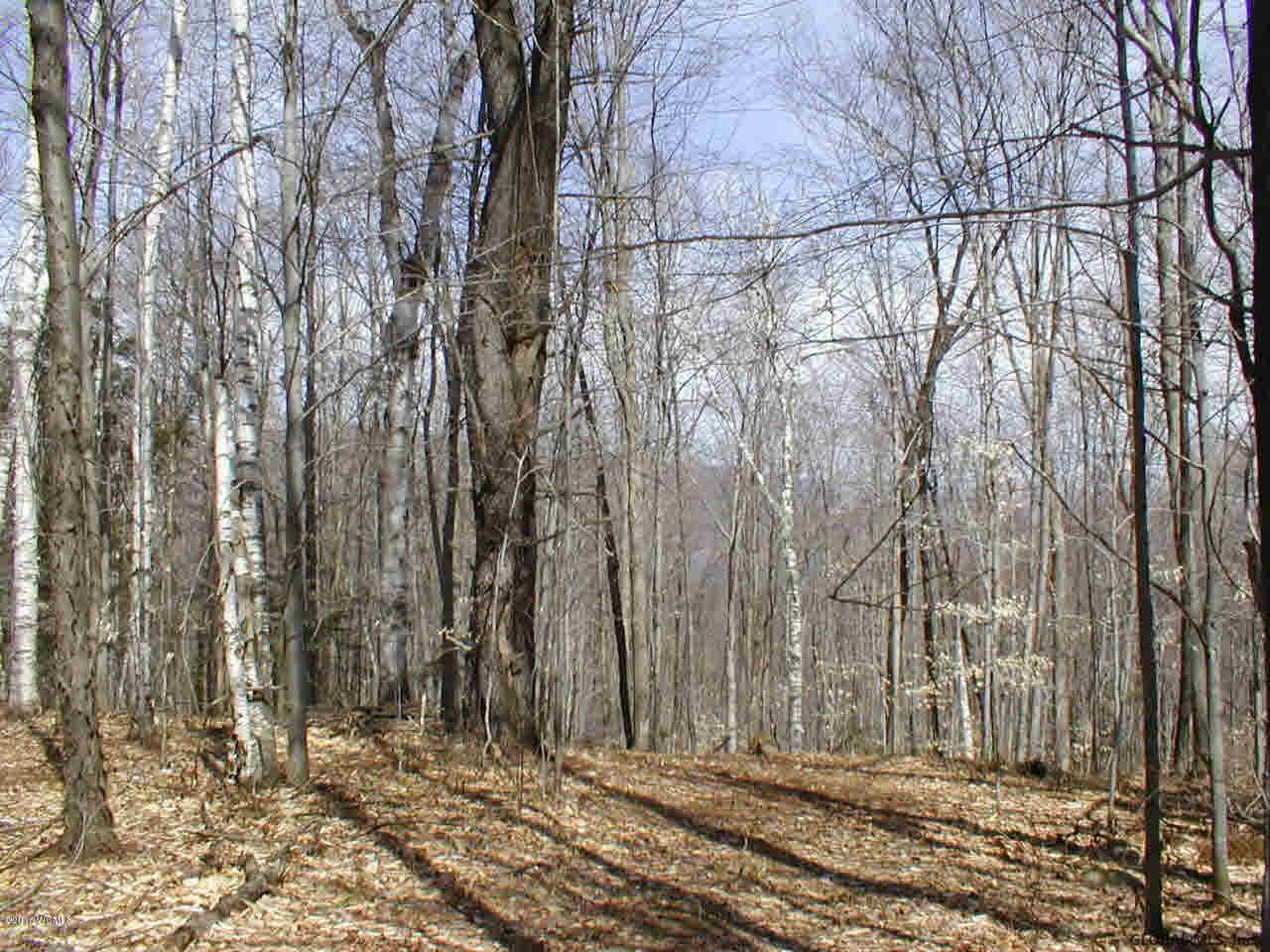 L20.2 Goldey Road Huletts Landing, NY 12841 - Photo 4 of 7 Photo 4