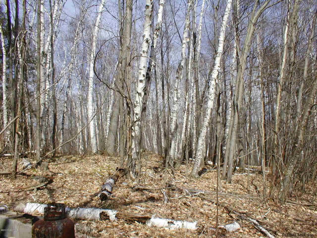 L20.2 Goldey Road Huletts Landing, NY 12841 - Photo 5 of 7 Photo 5