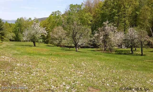 L20.2 Goldey Road Huletts Landing, NY 12841 - Photo 7 of 7 Photo 7