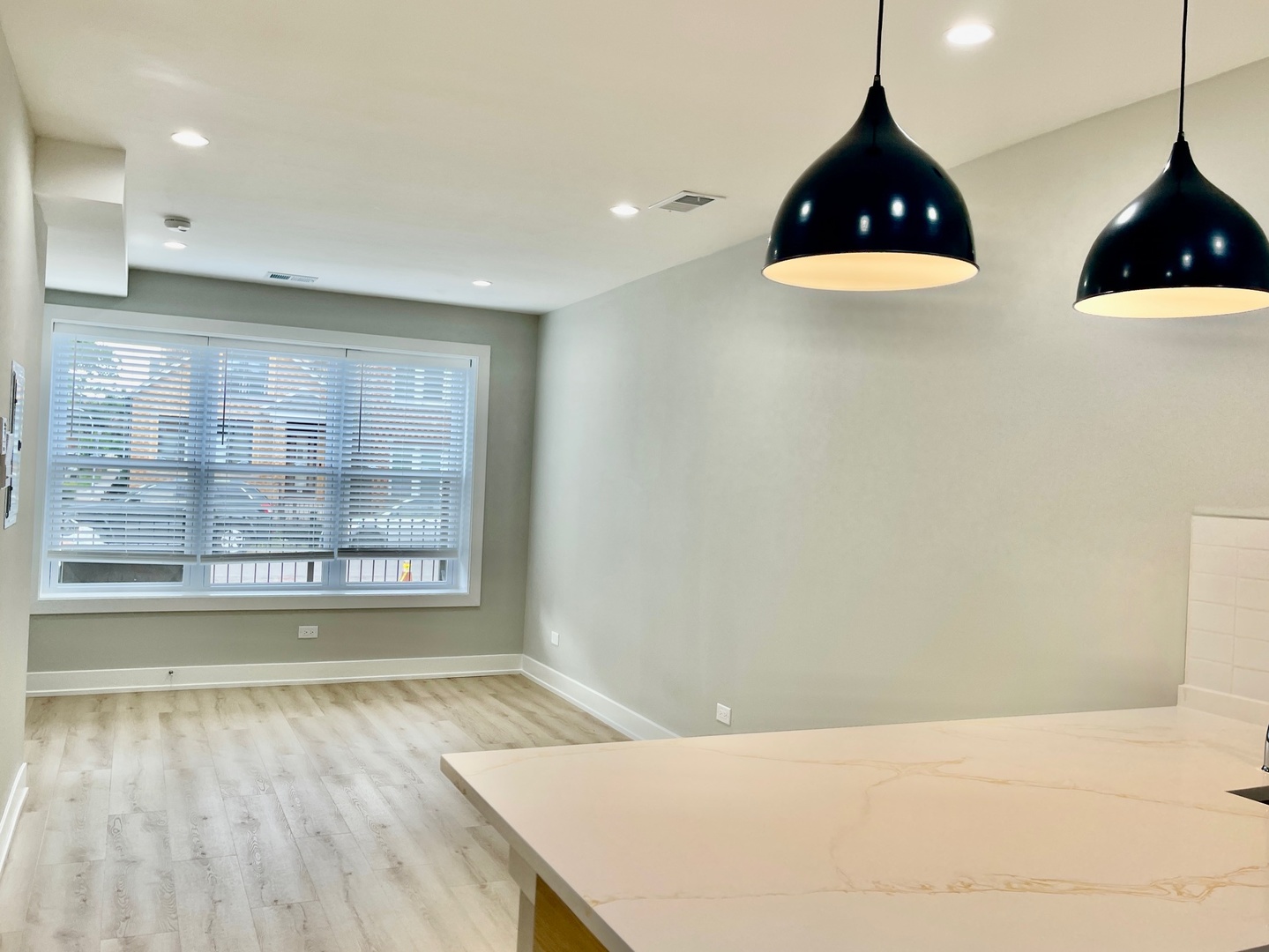 2238 West 24th Street, Unit 1F Chicago, IL 60608 - Photo 7 of 16 a view of an empty room and window