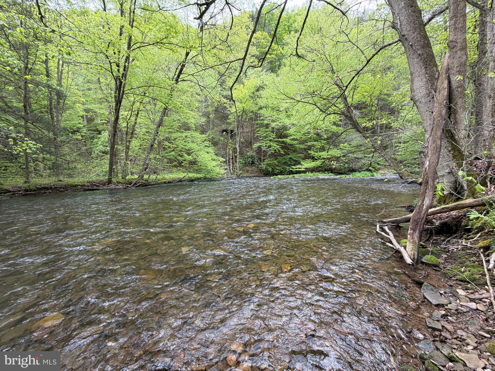 1227 Cross Fork Creek Road Cross Fork, PA 17729 - Photo 81 of 139