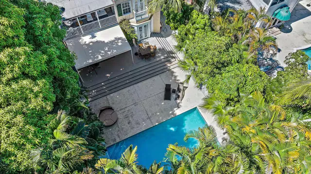 a view of a backyard with plants and trees
