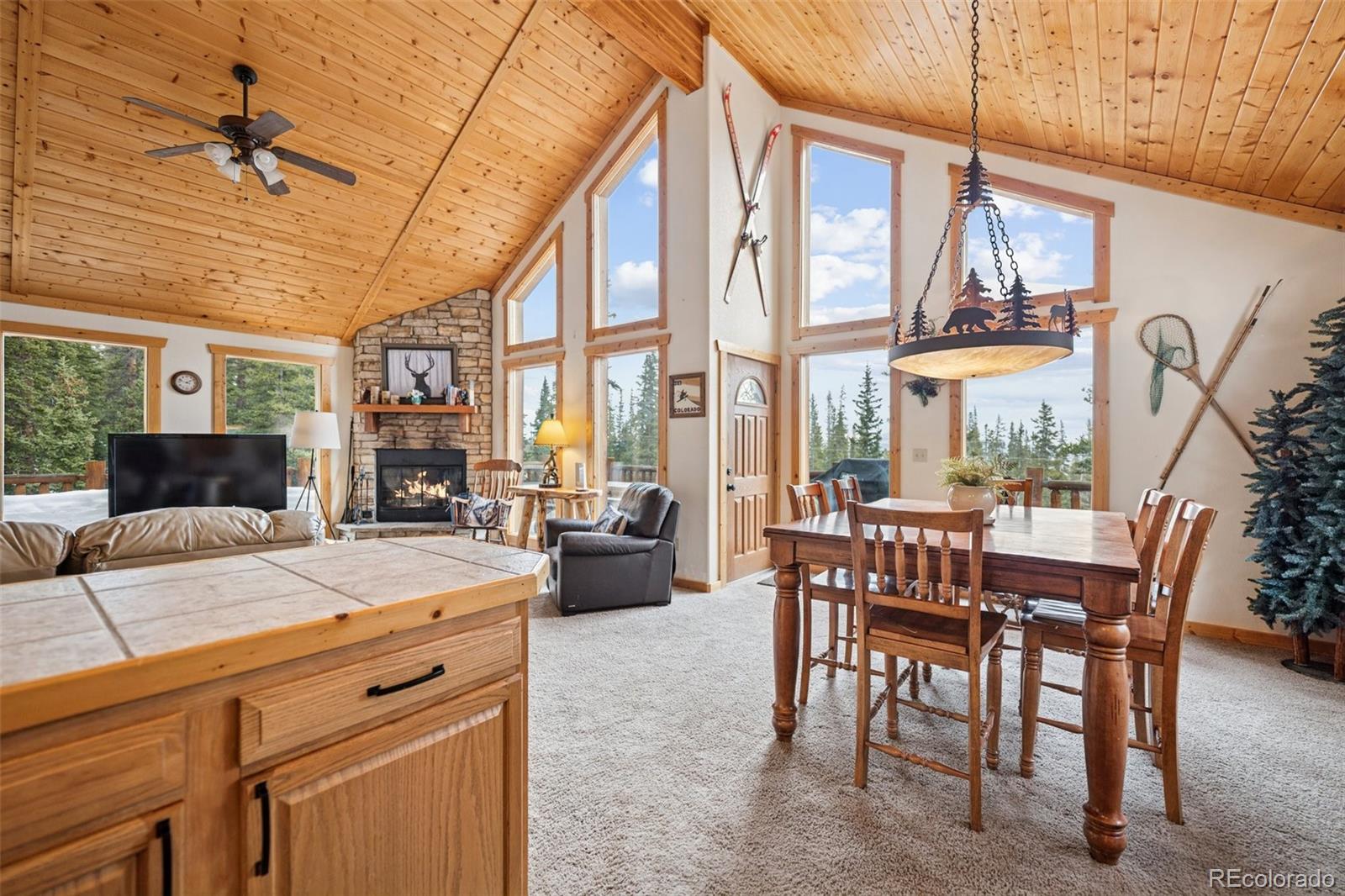 585 Miners Way Fairplay, CO 80440 - Photo 1 of 29