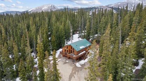 a view of a city with lush green forest