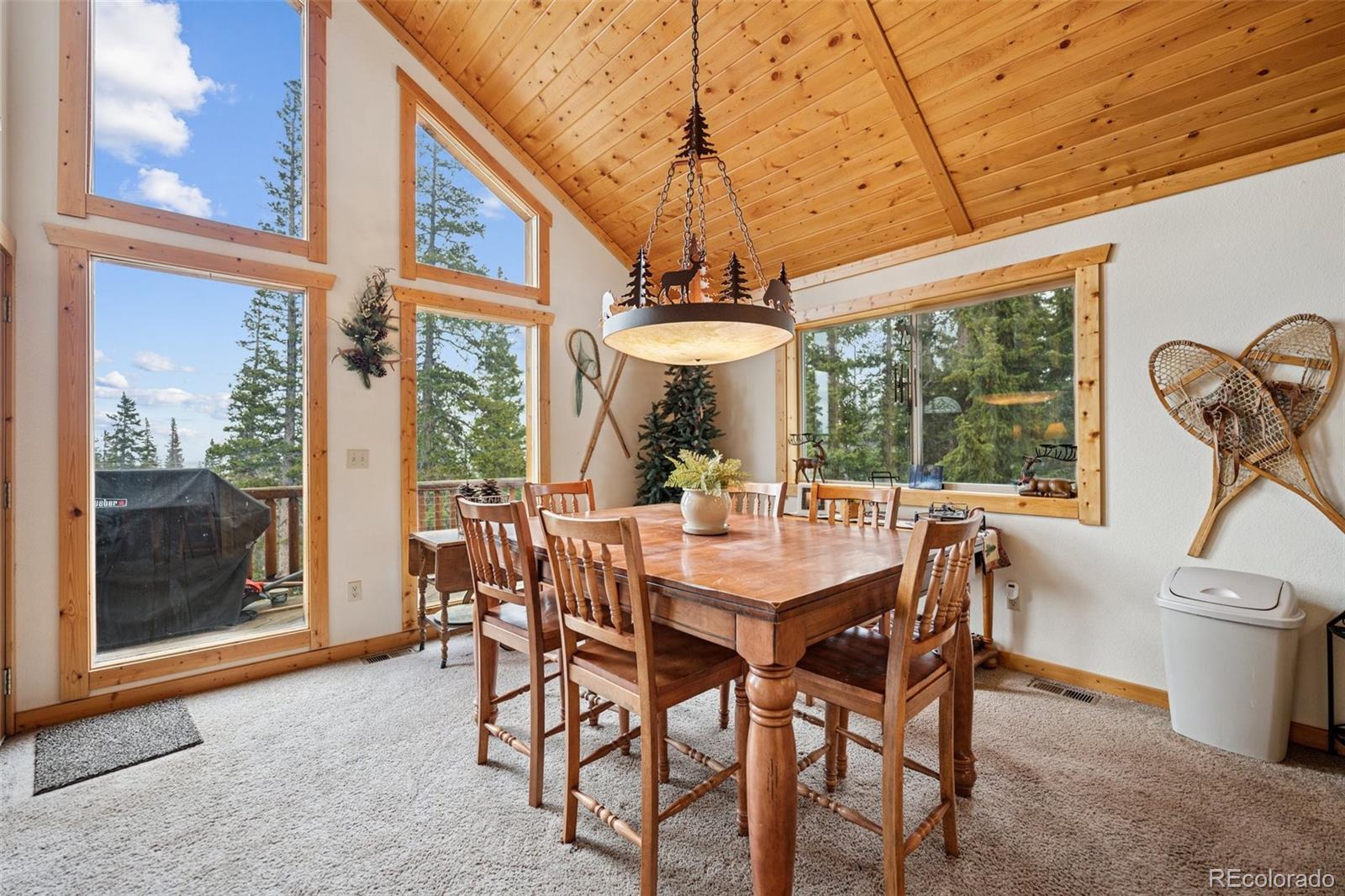 585 Miners Way Fairplay, CO 80440 - Photo 3 of 29