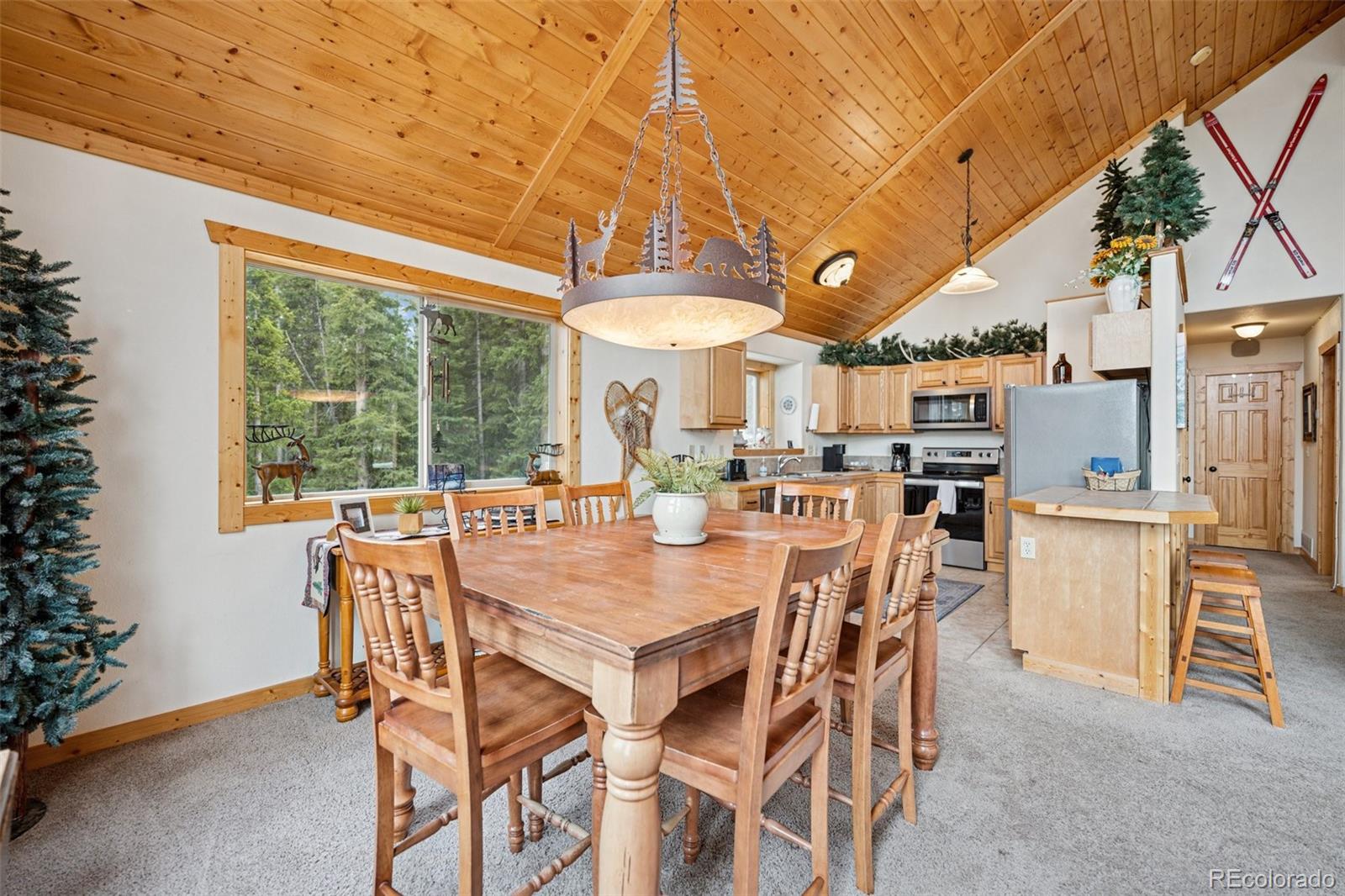 585 Miners Way Fairplay, CO 80440 - Photo 7 of 29