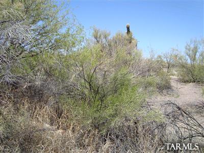 4223 West Valencia Road Tucson, AZ 85746 - Photo 8 of 25 Gallery Image 8